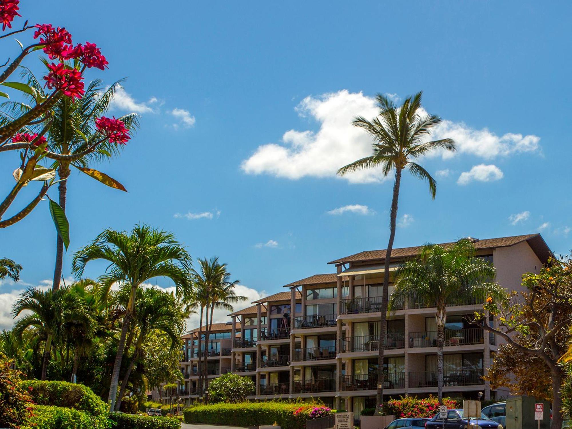 Ocean View Unit At Kihei Alii Kai Close To Beach Buitenkant foto